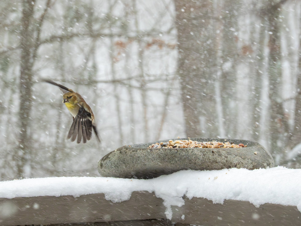 River Stone Bird Bath product image 10
