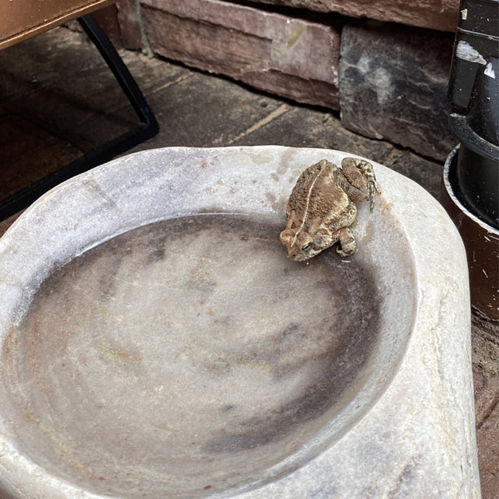 River Stone Bird Bath product image 11
