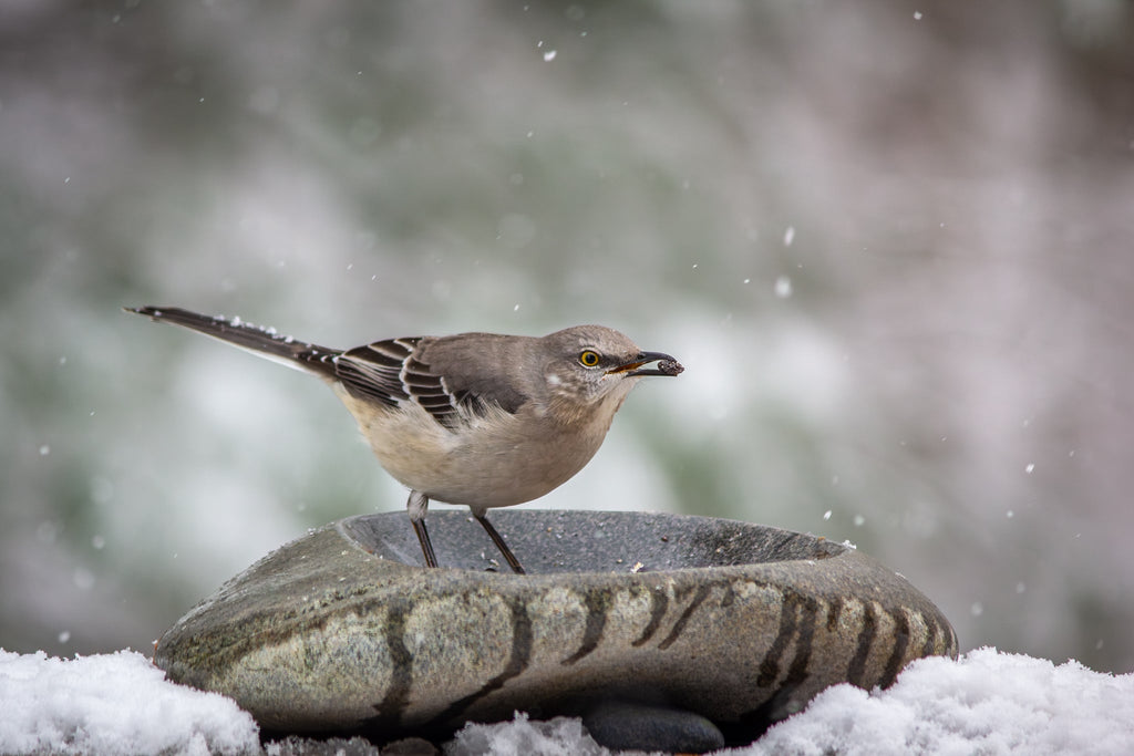 River Stone Bird Bath product image 17