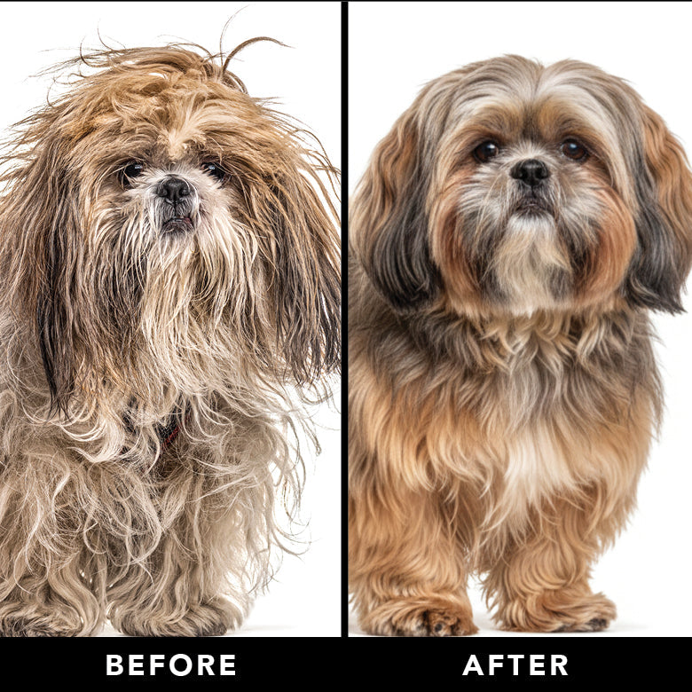 Dog Conditioner product image 6