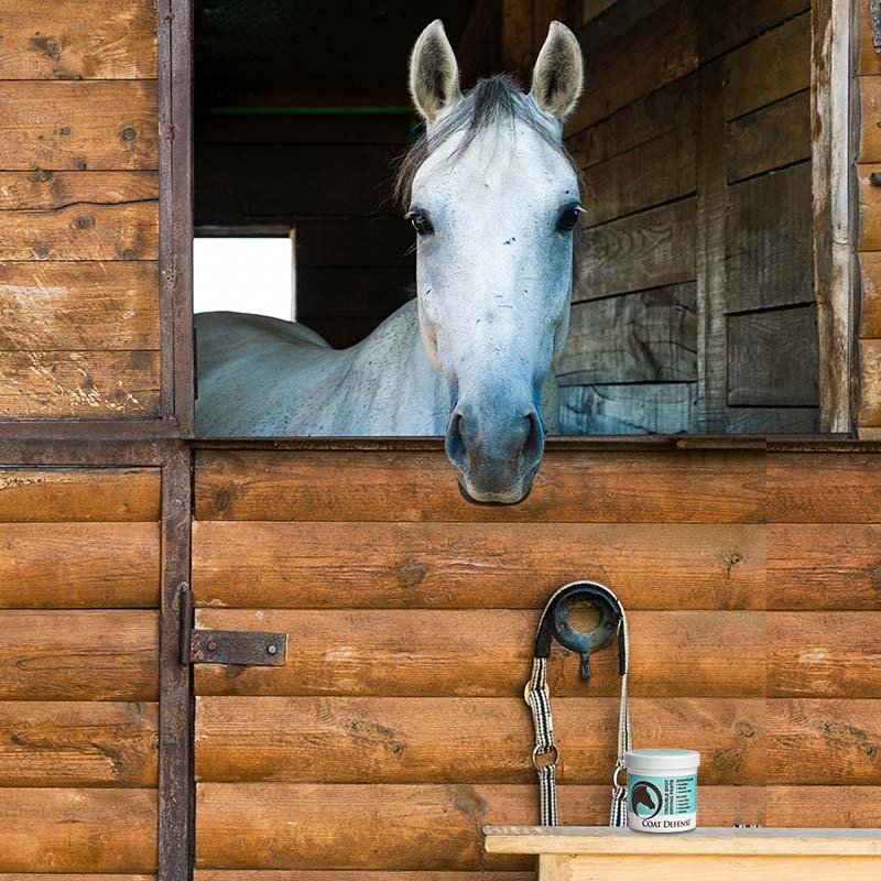 Horse Drying Paste product image 9