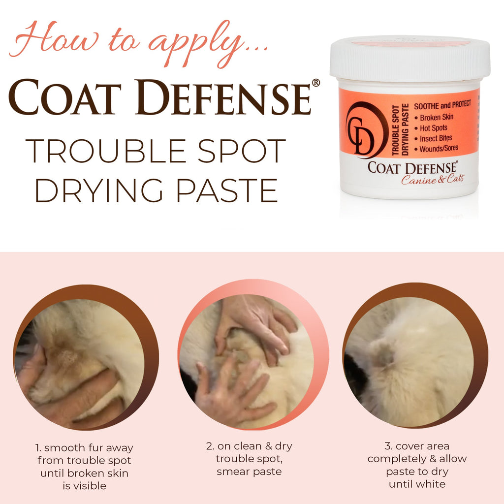 Skin Drying Paste product image 4