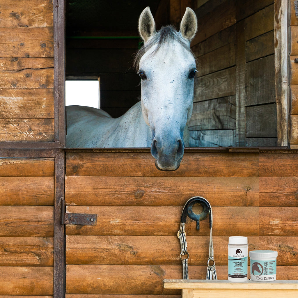 Equine Skin Care Bundle product image 12