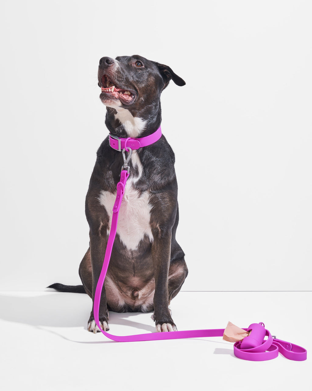 Waterproof Dog Walking Kit product image 3