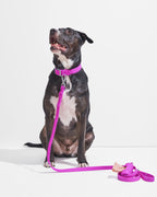 Waterproof Dog Walking Kit product image 3