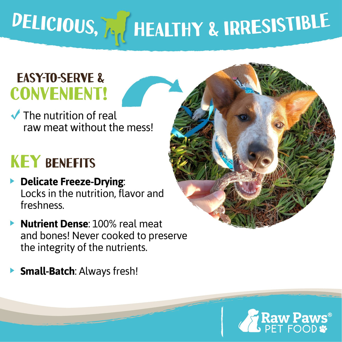 Freeze Dried Chicken Necks product image 4