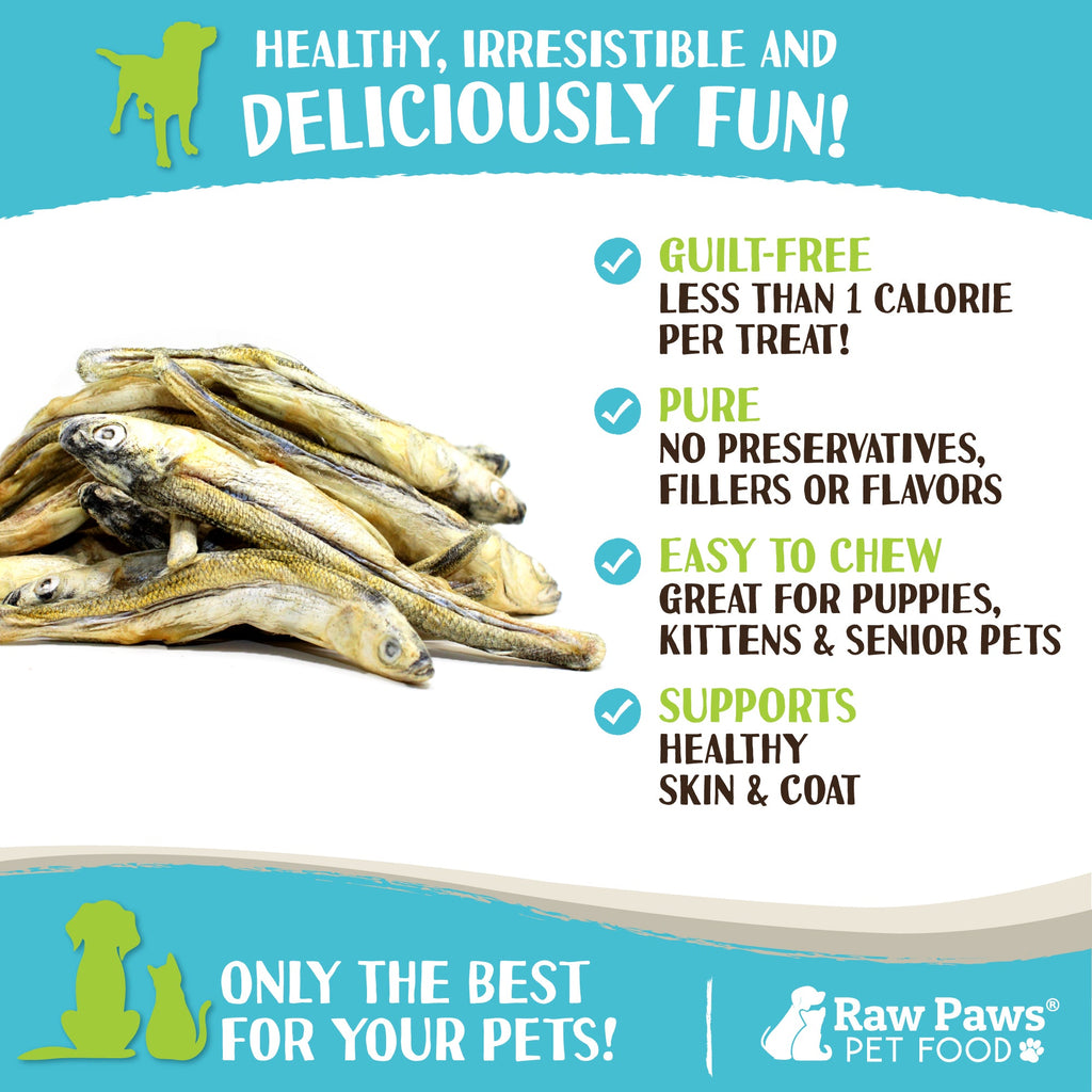 Freeze-Dried Minnow Treats product image 3