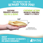 Lamb Ear Dog Chews product image 3