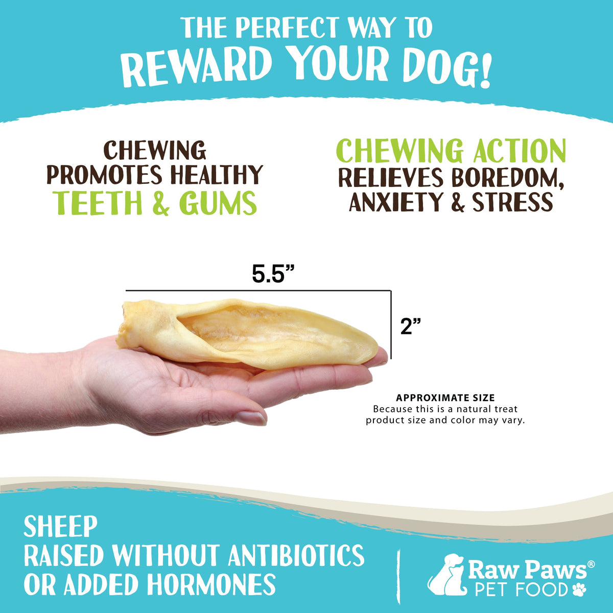 Lamb Ear Dog Chews product image 3