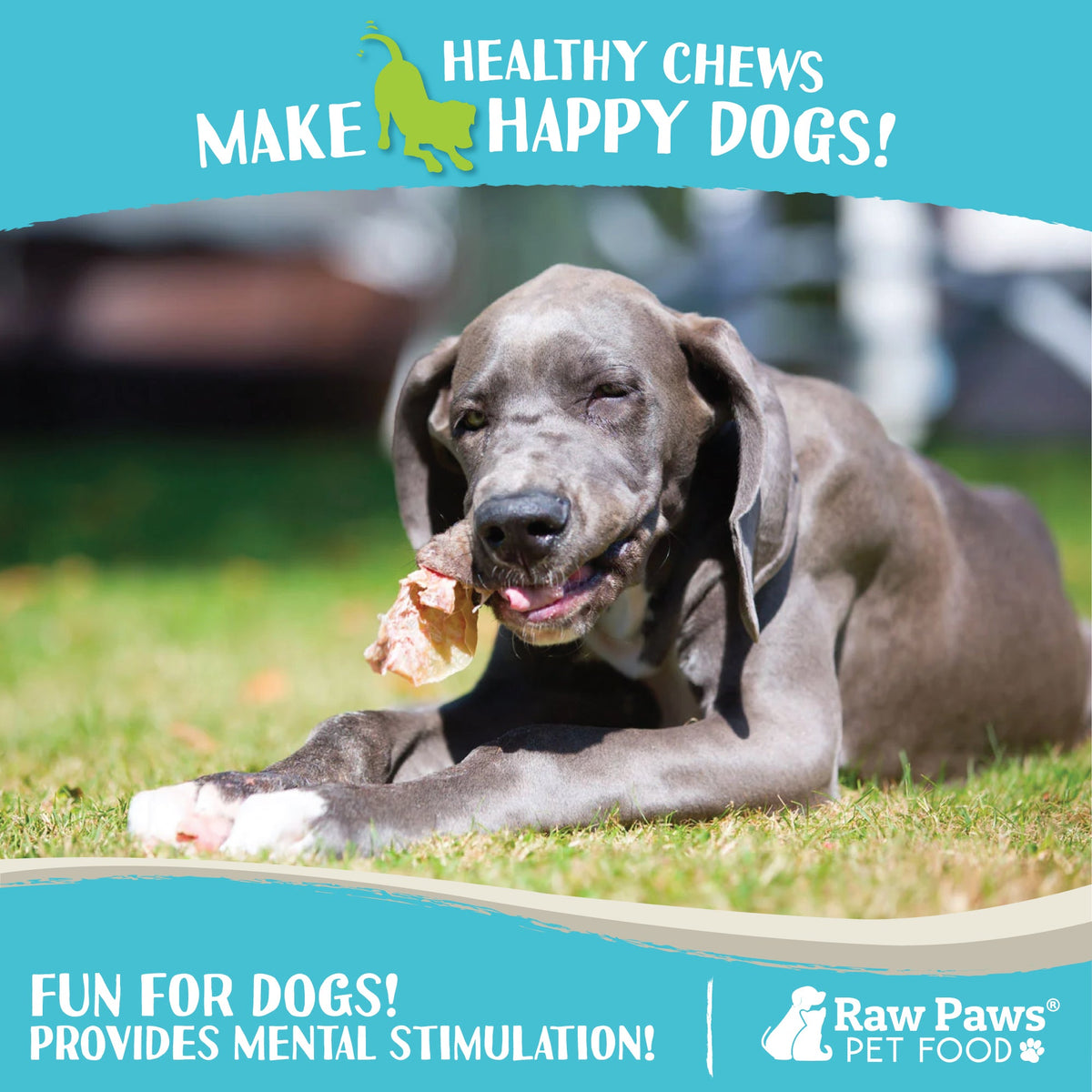 Lamb Ear Dog Chews product image 5