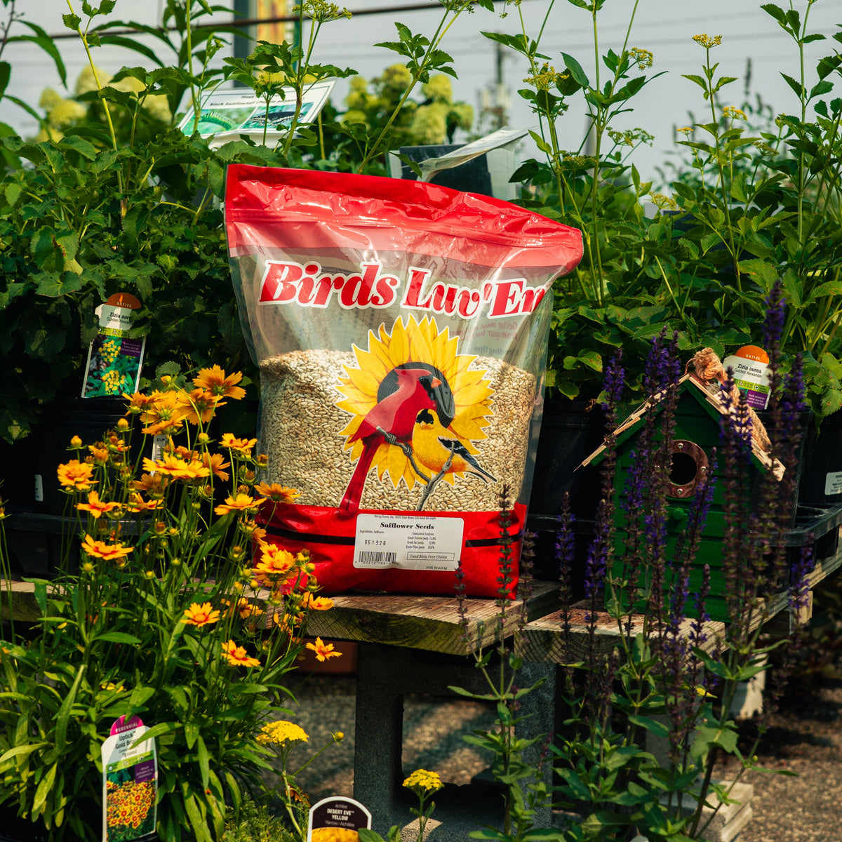 Wild Bird Food product image 1