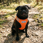 Step-In Dog Harness product image 26