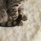Cat Blanket product image 3