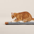 Cat Scratching Board product image 1