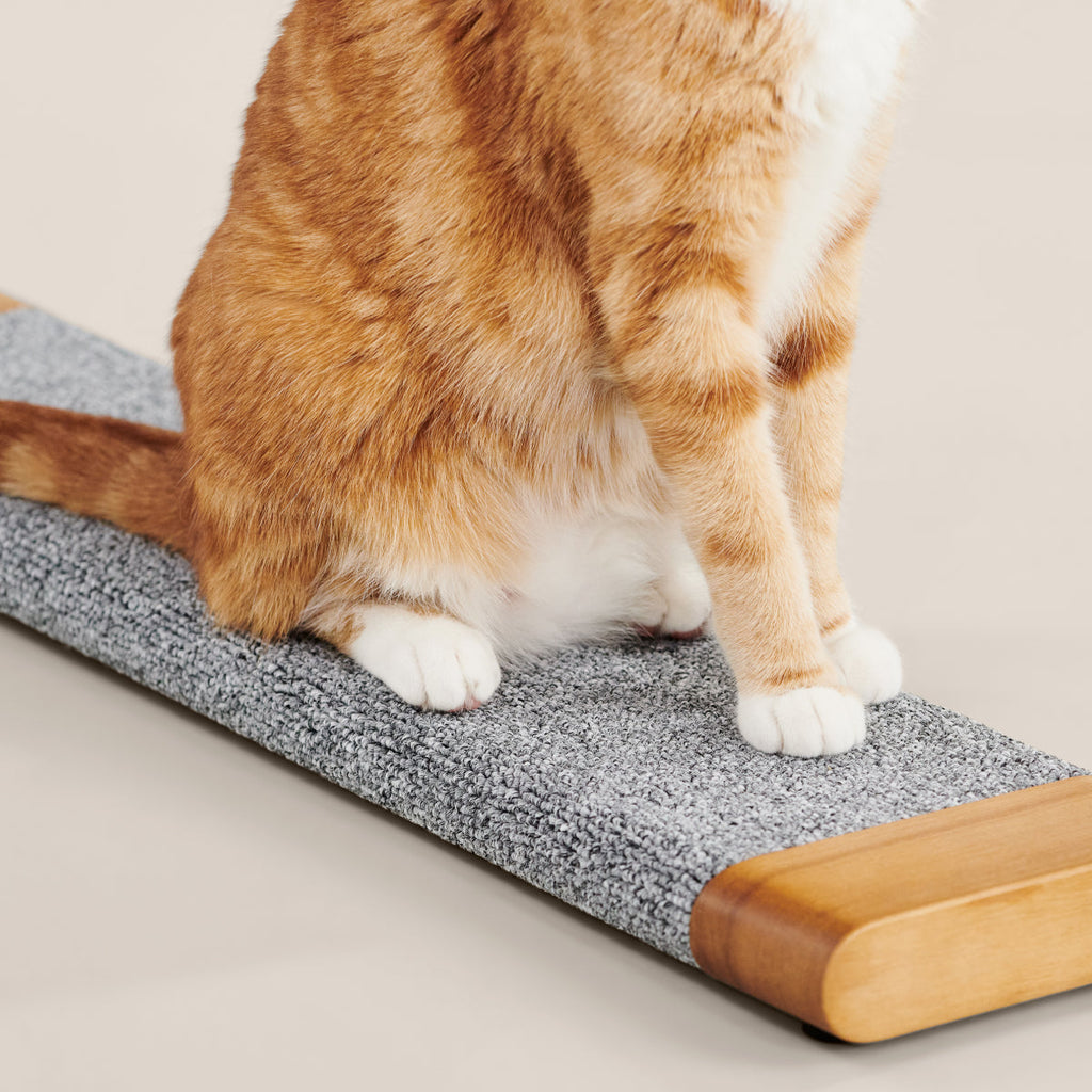 Cat Scratching Board product image 2