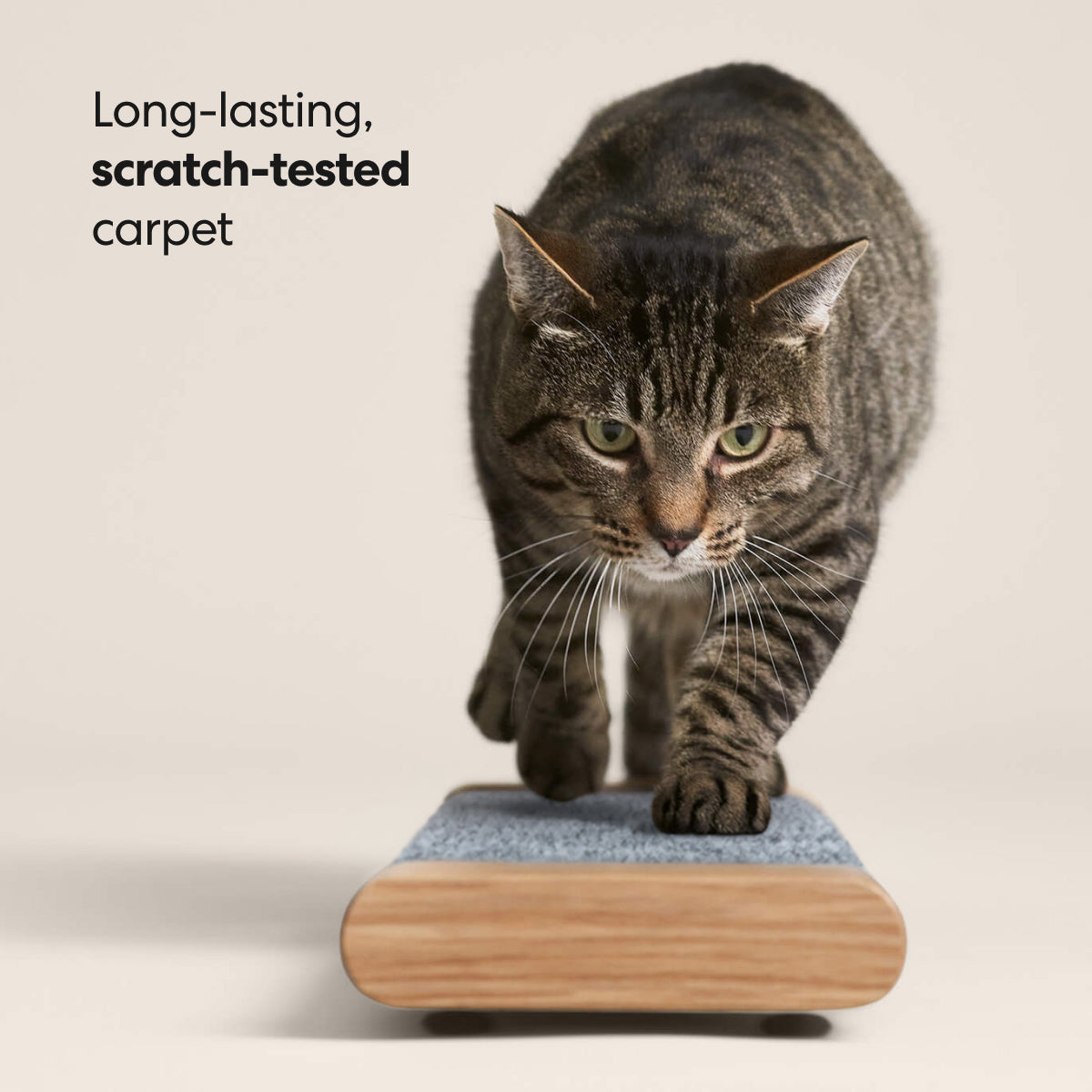 Cat Scratching Board product image 4