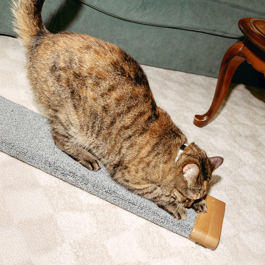 Cat Scratching Board product image 6
