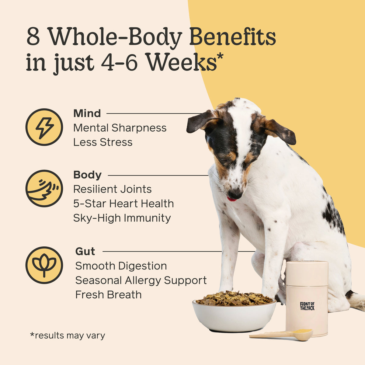 Dog Wellness Supplement product image 5