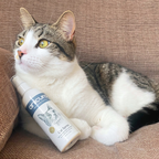 Cat Skin Care Spray product image 5