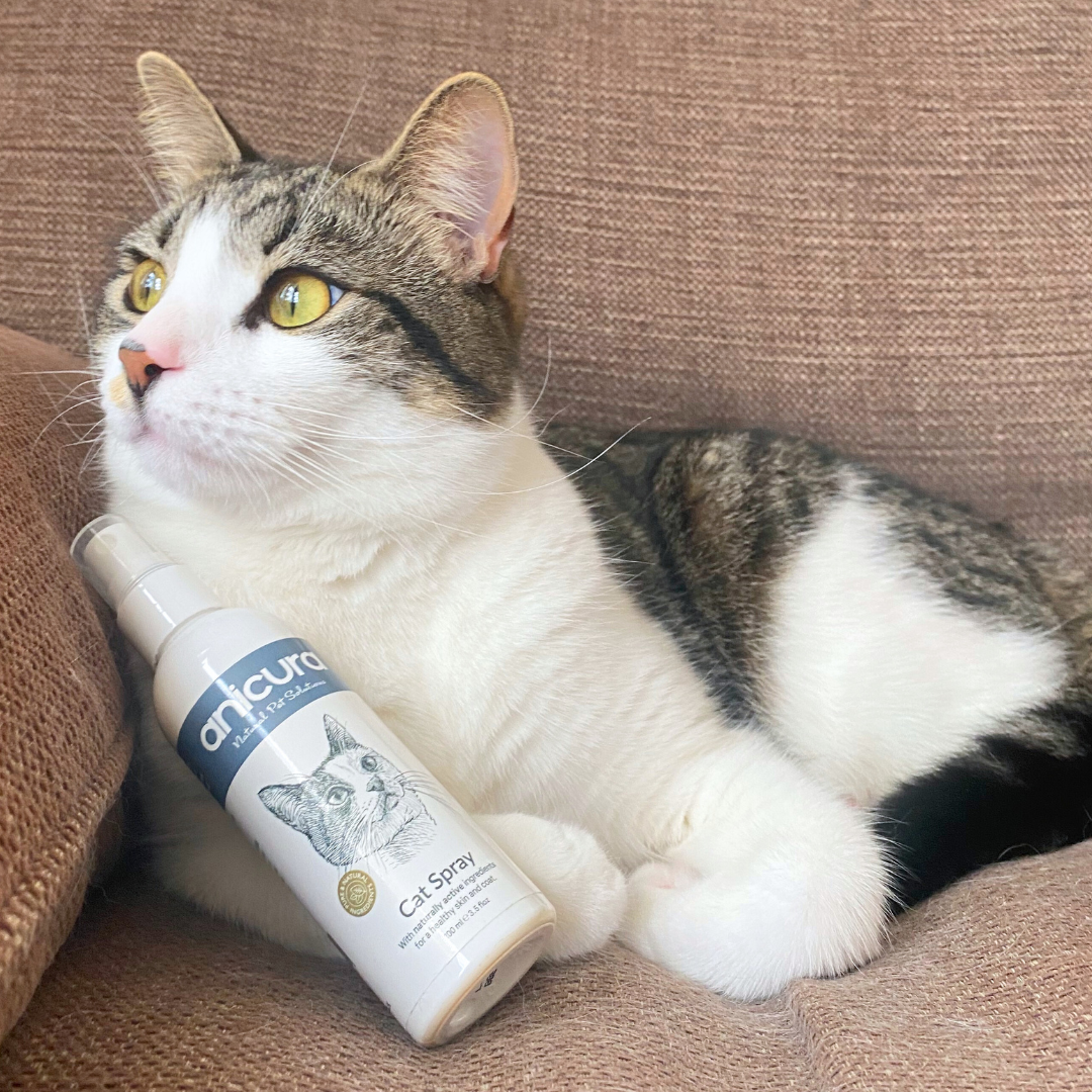 Cat Skin Care Spray product image 5