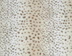 Donut Dog Bed product image 3