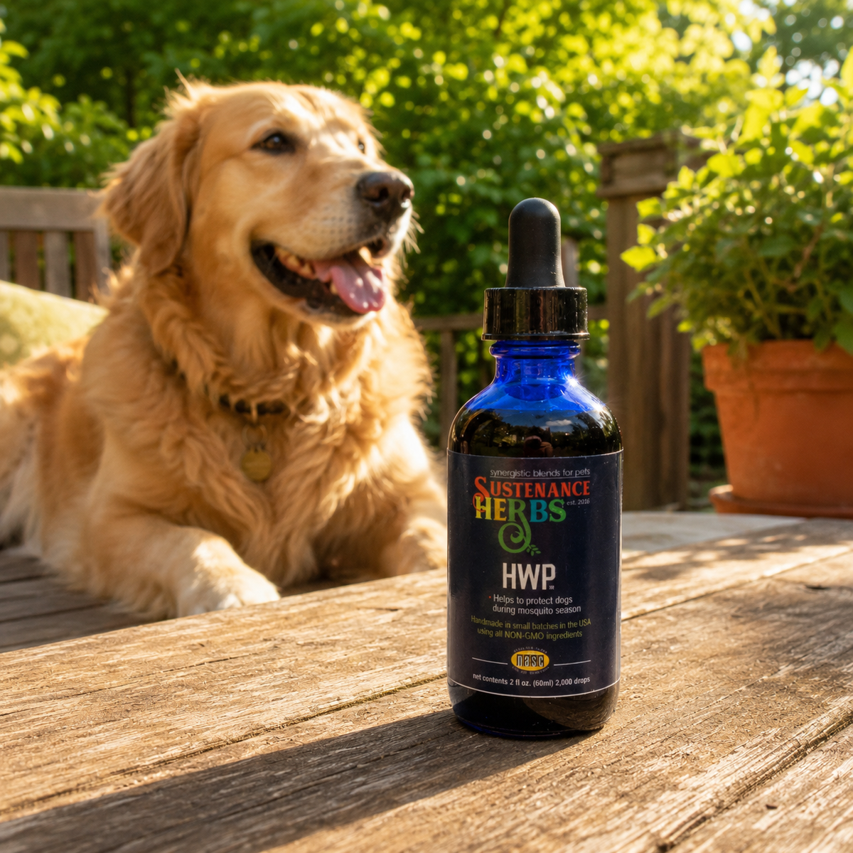 Dog Herbal Supplement product image 6