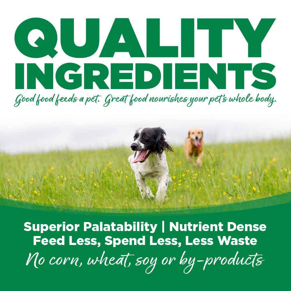 Adult Dog Food product image 3