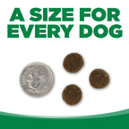 Adult Dog Food product image 5