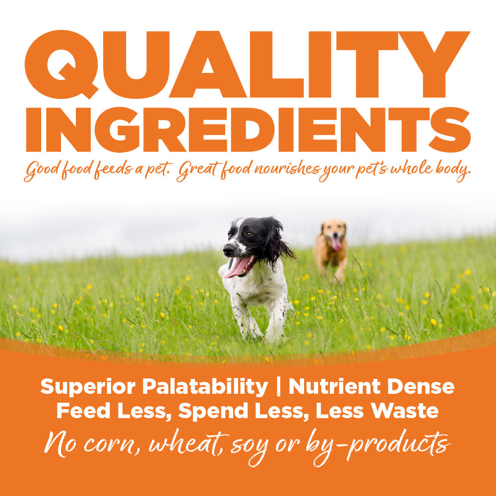 Adult Dog Food product image 6