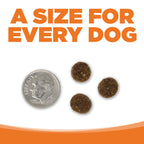 Adult Dog Food product image 8