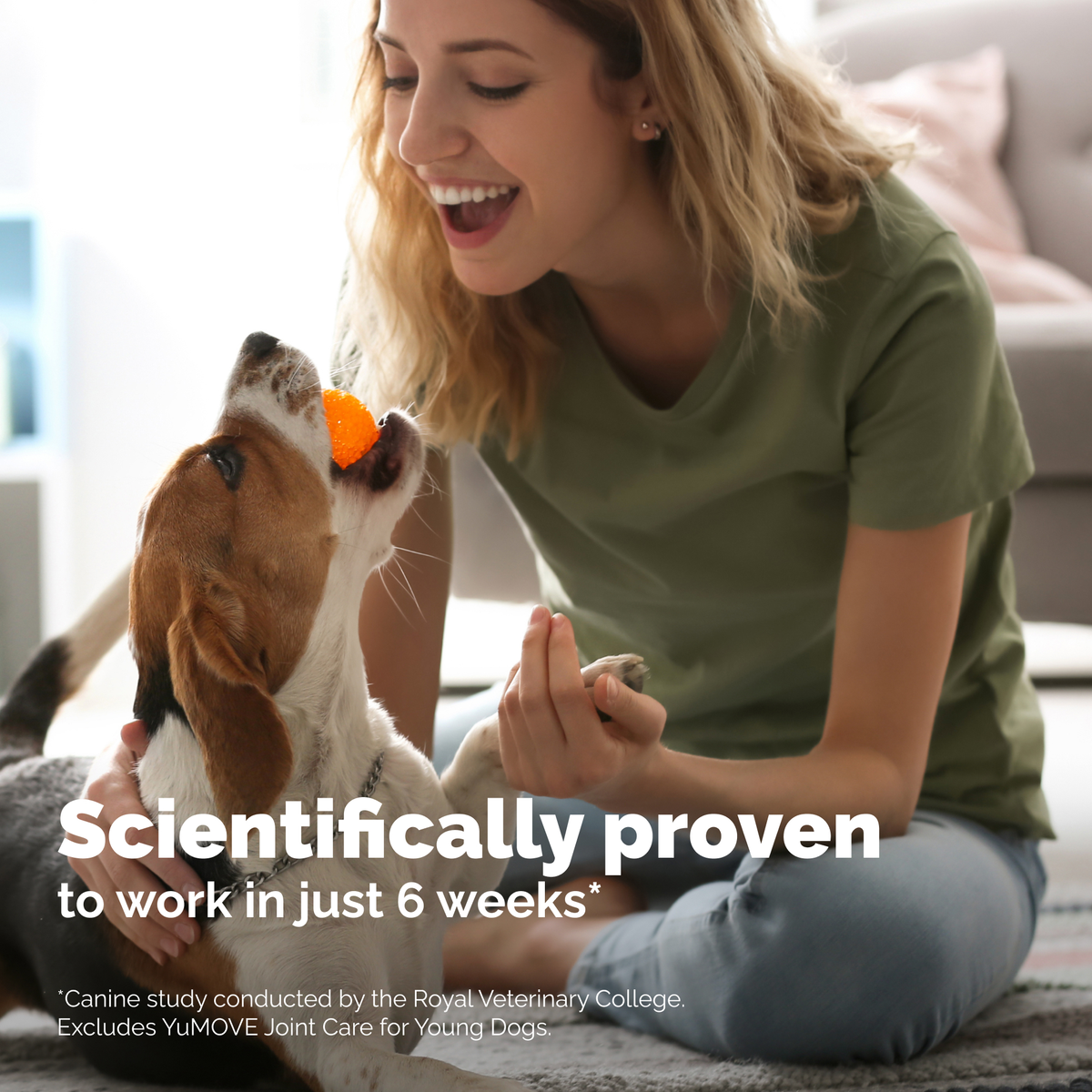 Dog Hip and Joint Chews product image 5