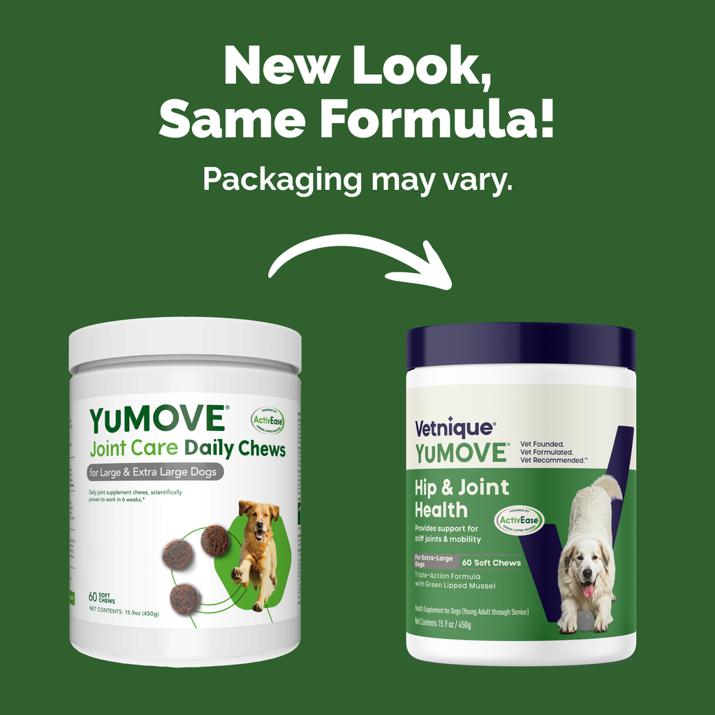 Dog Hip and Joint Supplement Chews product image 3
