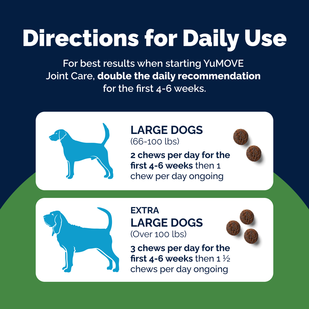 Dog Hip and Joint Supplement Chews product image 4