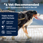 Dog Hip and Joint Supplement Chews product image 6