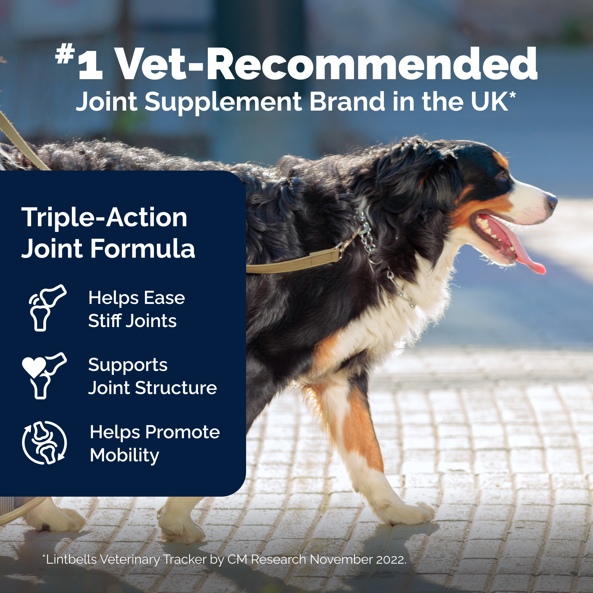 Dog Hip and Joint Supplement Chews product image 6
