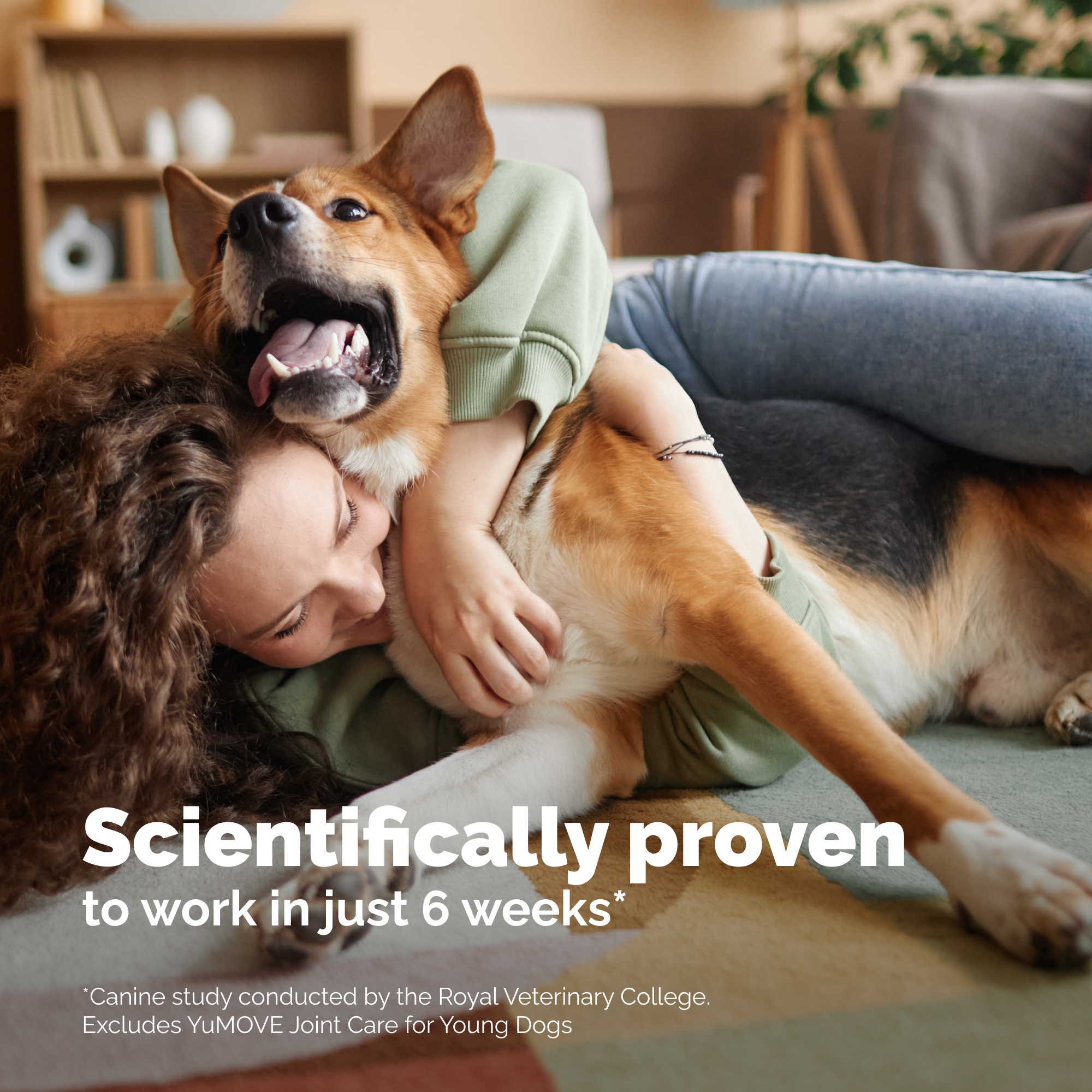Dog Hip and Joint Supplement Chews product image 7
