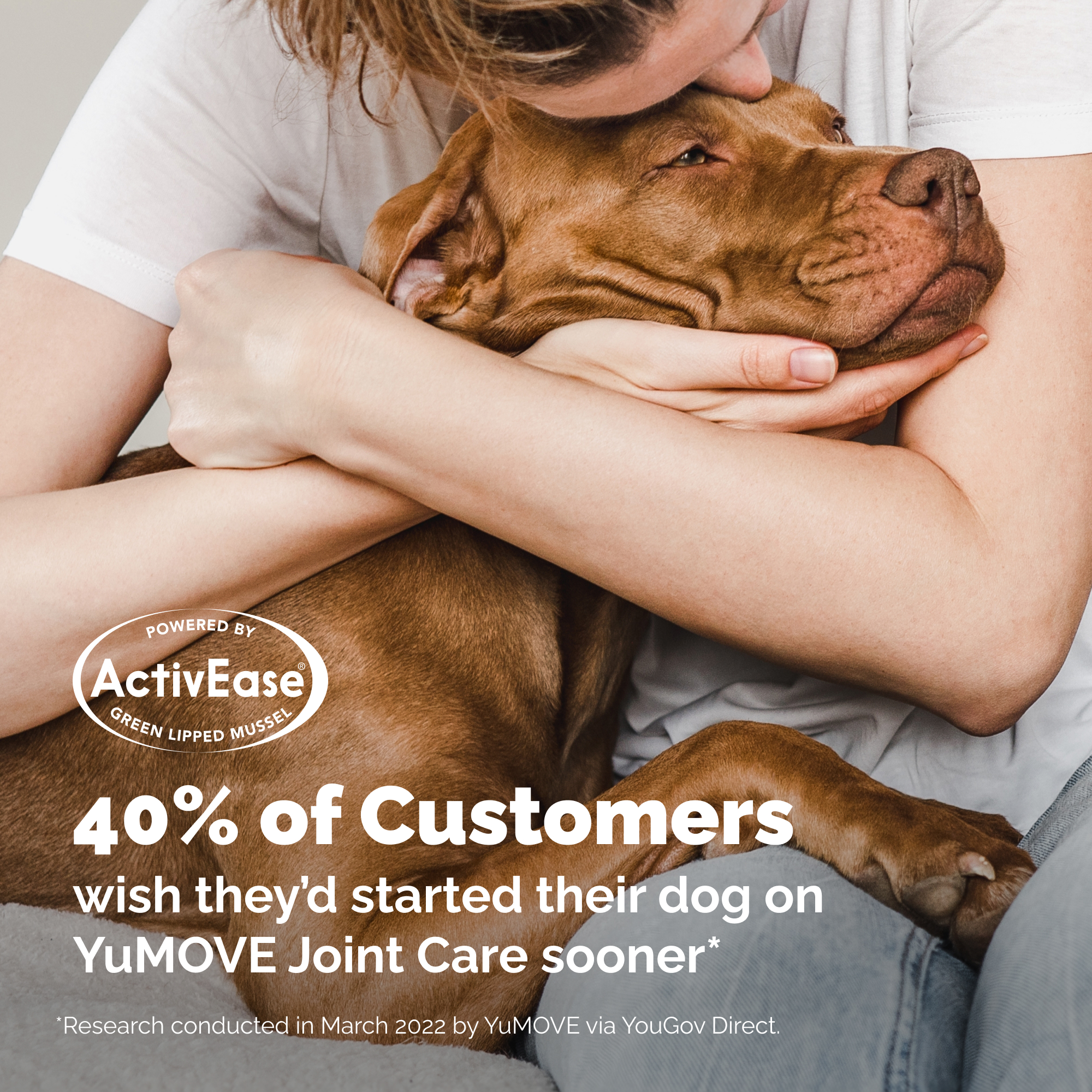 Dog Hip and Joint Supplement Chews product image 10