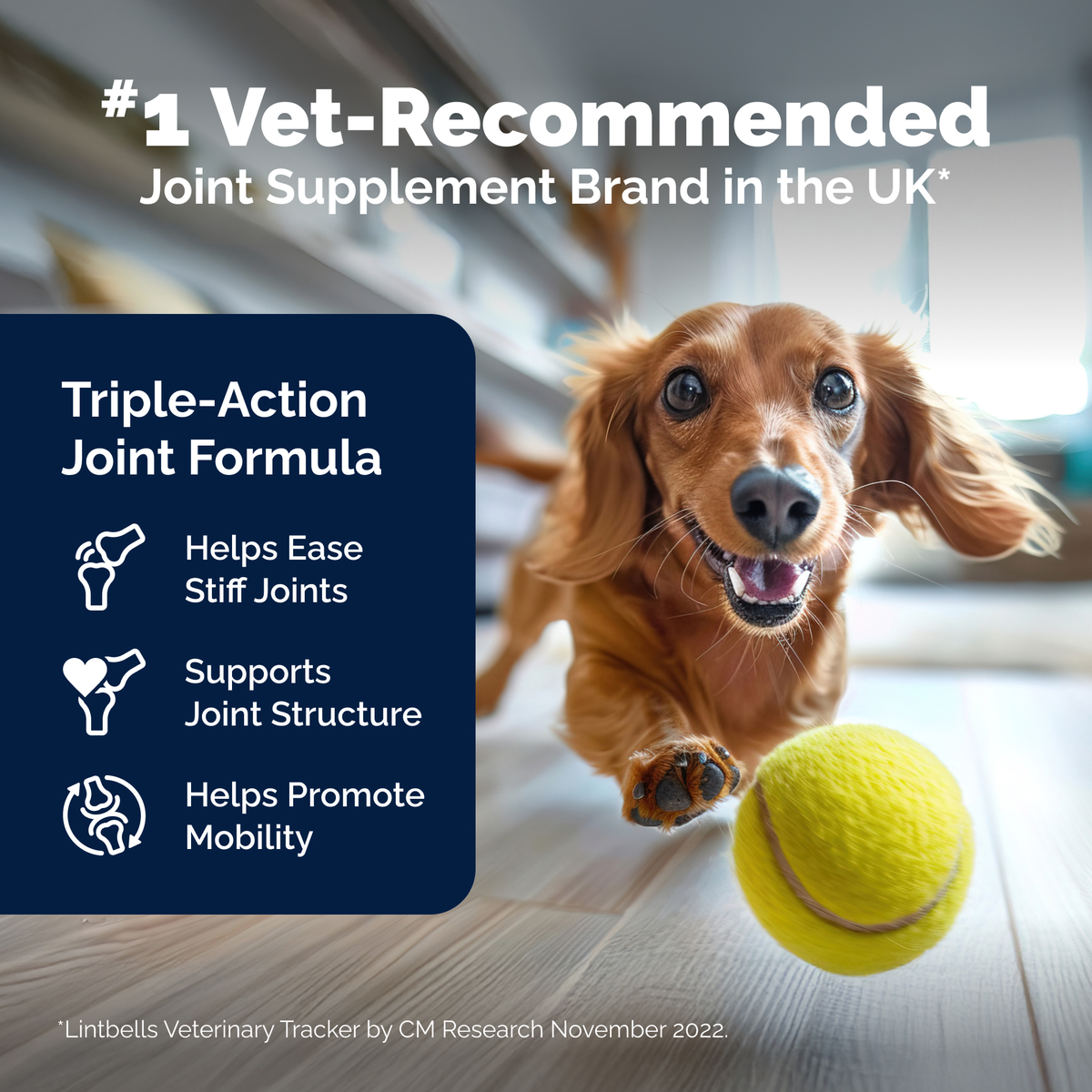 Dog Joint Supplement product image 4