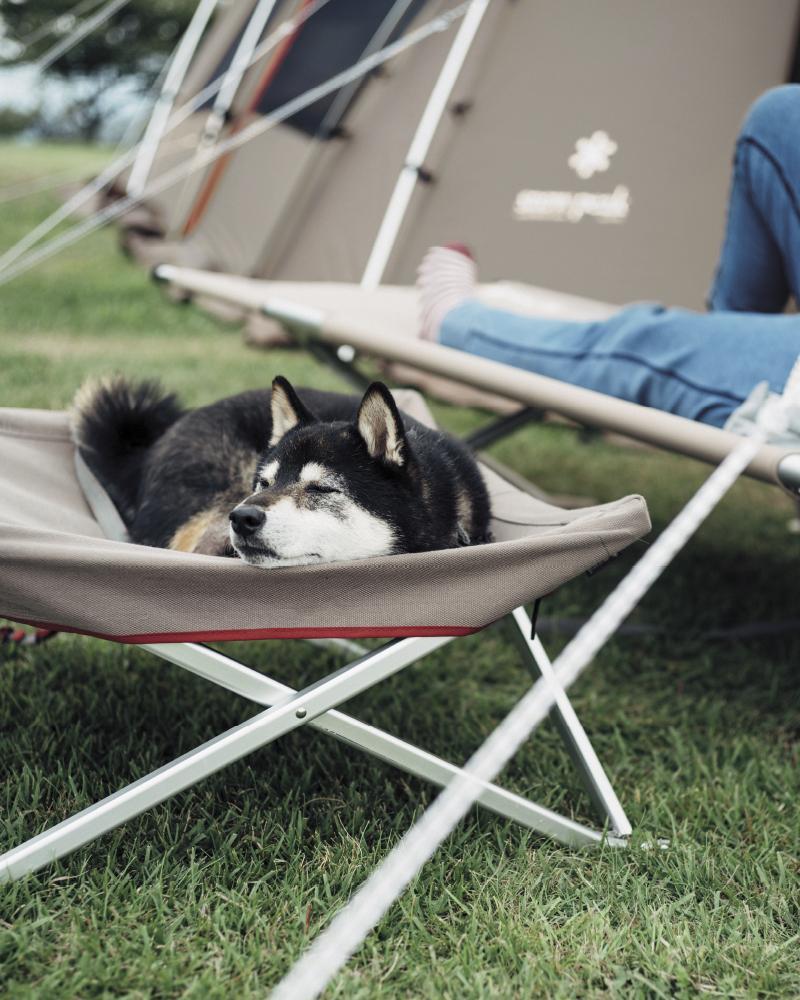 Dog Cot product image 3
