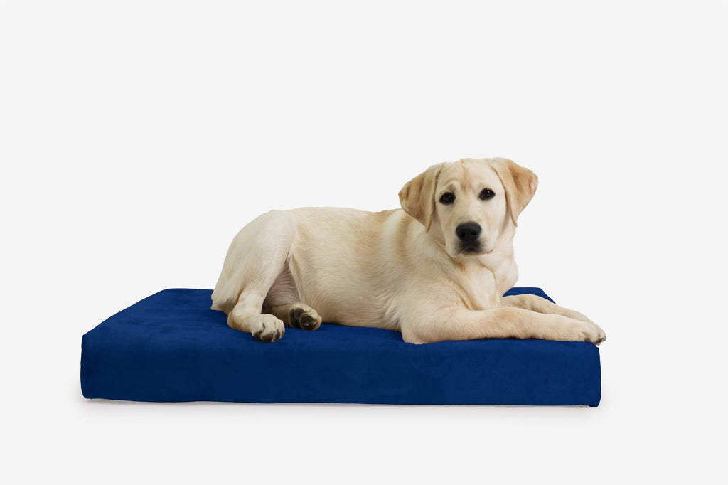 Orthopedic Dog Crate Bed product image 26