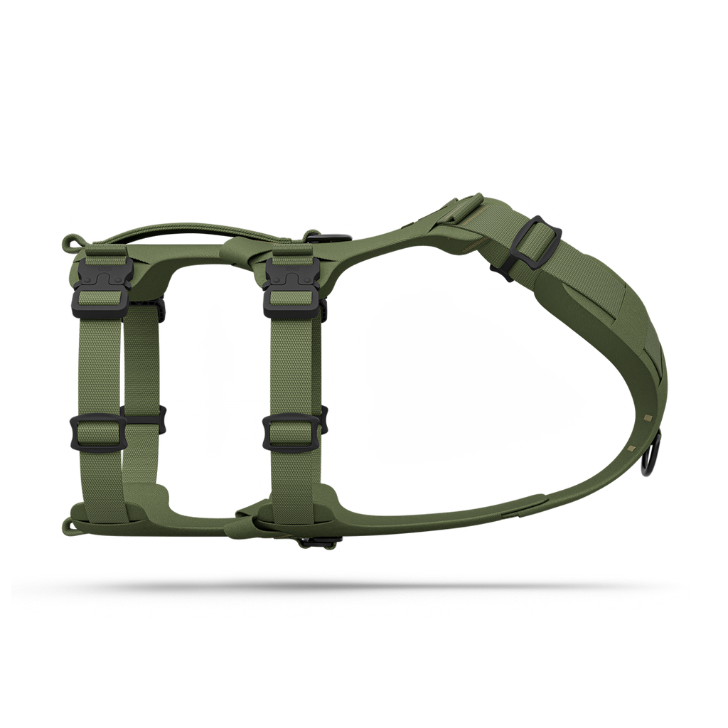 Modular Trail Dog Harness XS / Trail Green