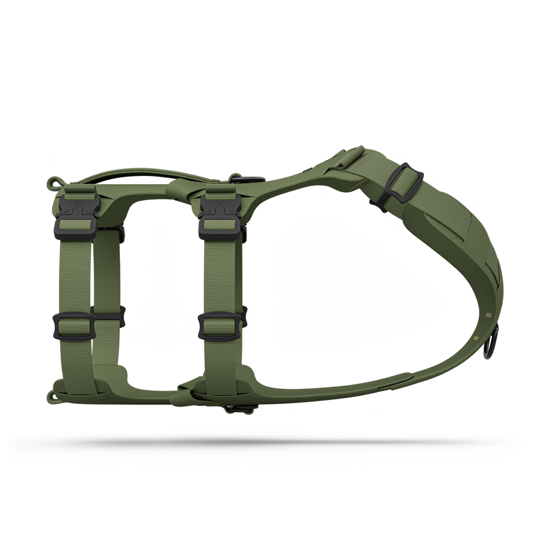 Modular Trail Dog Harness XS / Trail Green