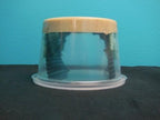Live Hornworm Reptile Feeders product image 2
