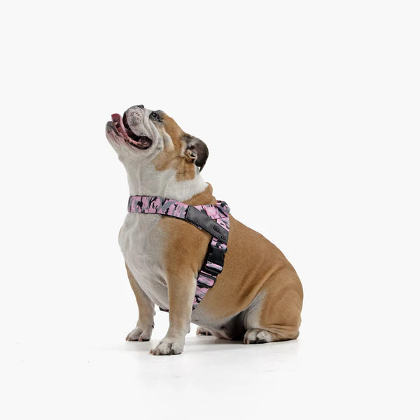 Adjustable Grab-Handle Dog Harness product image 52