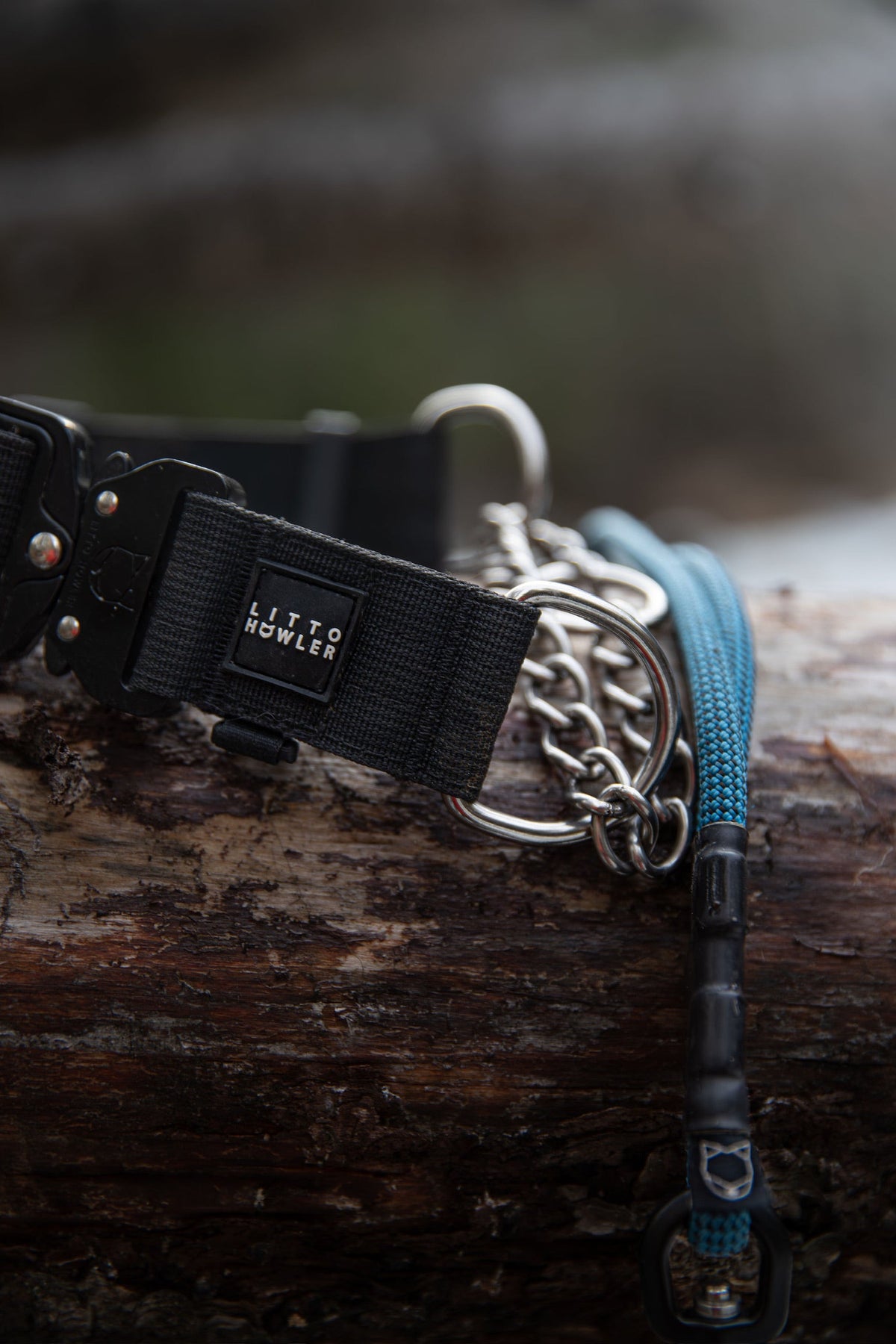 Martingale Dog Collar product image 3