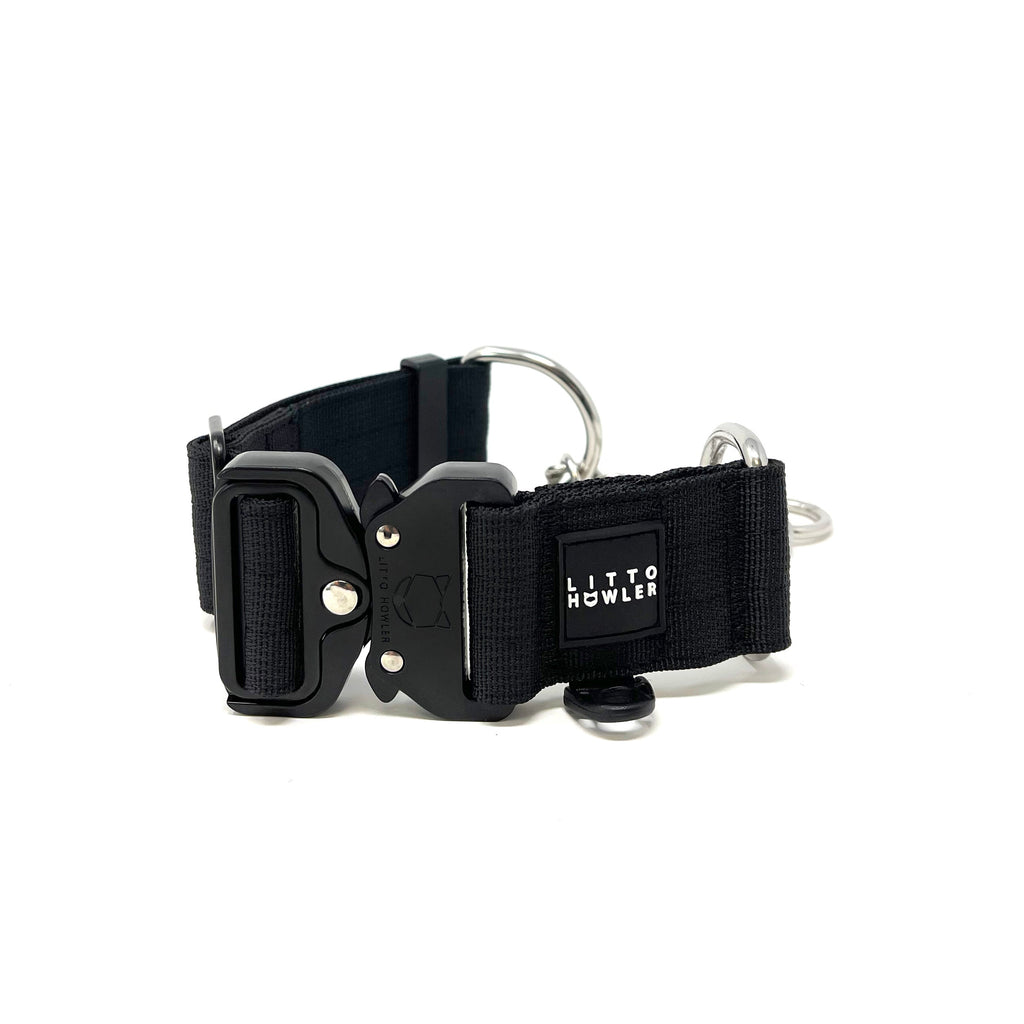 Martingale Dog Collar product image 7