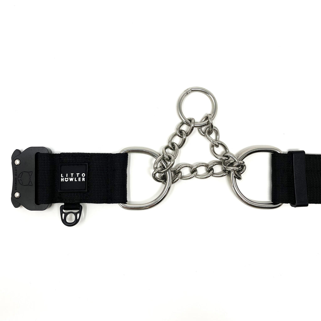 Martingale Dog Collar product image 8
