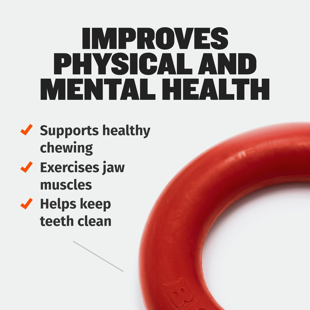 Heavy-Duty Dog Chew Ring Toy product image 2