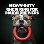 Heavy-Duty Dog Chew Ring Toy product image 3