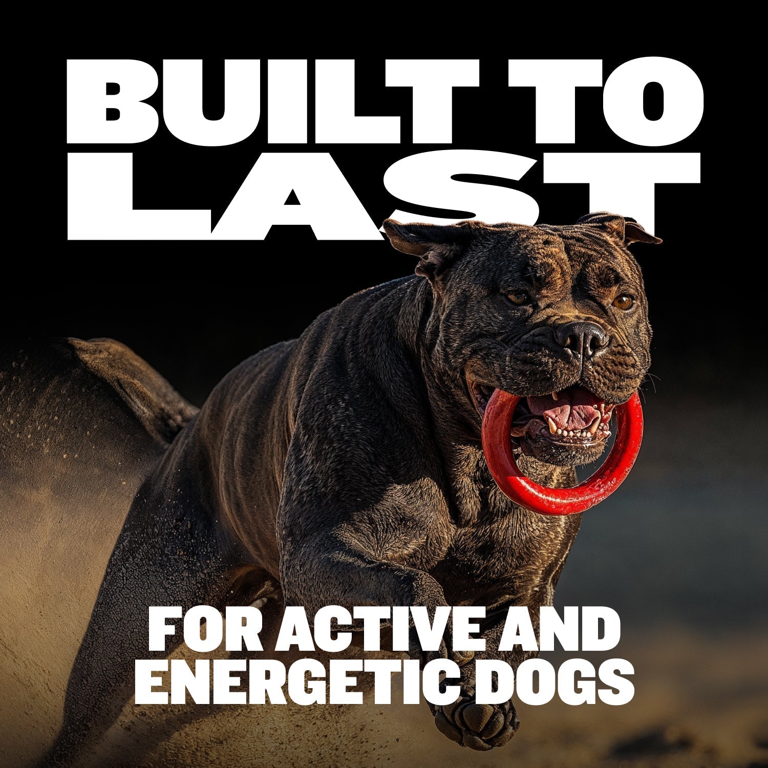 Heavy-Duty Dog Chew Ring Toy product image 7